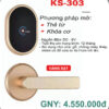 Khóa Điện Tử MAC-KS303